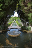 115Gardens are everywhere.jpg