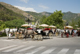 106Carriage Rides tour Mijas.jpg