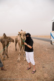 114Linda in her Berber Scarf.jpg