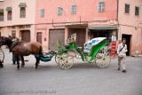 121Aziz with our Carriage Ride.jpg