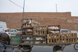 123Chickens going to market.jpg