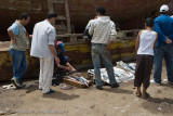 115Fresh Fish Market.jpg