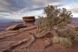 003-Dead Horse Point