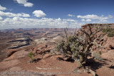 008-Canyonlands