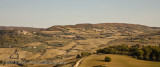 Tuscan Landscape near Montalcino