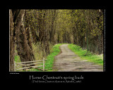 The Horse-Chestnut's first spring buts