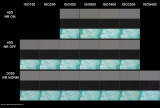 D300 40D ISO comparison.jpg
