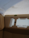 Strange places you find tree frogs