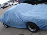 Smurf Car - Texas Tour 10