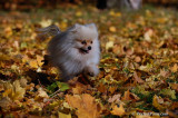 Nov13_07_055.jpg