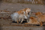 Apr15_08_786.jpg