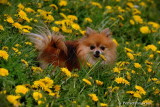 May8_08_063.jpg