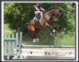 AMLIE ET SHAGUY   -   S t-tienne 013 .jpg