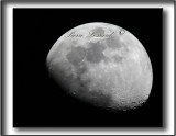_MG_2632aa .jpg - LUNE