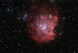 The Monkey Head Nebula (NGC 2174 / 2175)