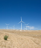 Wind farm 7.jpg
