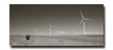 Wind farm 17.jpg
