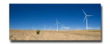 Wind farm 23.jpg
