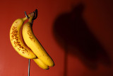 20080831 - Banana Extra