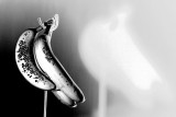 20080831 - Banana