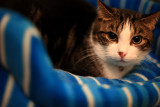 20081231 - Oscar