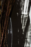 20071119 - StuffnShadow
