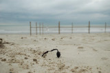 middelkerke 06