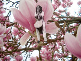 Bernadette in magnoliaboom