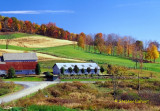 Farm  Striped Fields.jpg