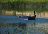 Cormorant  Boat.jpg