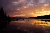 Lake Harris Sunset.jpg