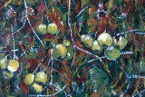 November Apples, Acrylic
