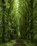 Old Westbury Gardens