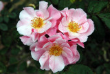 Old Westbury Gardens
