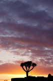 La Palma