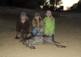 First Fallow