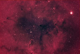 IC1396 - Elephant Trunk Nebula