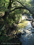 20100207 Ride  001StreamFrmBridge.jpg