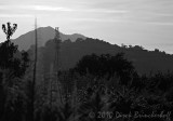 Powerful Mountain View  --  Mt. Tamalpais from Shoreline Park