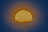 Sunny Side Up