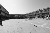 Piazza San Marco 5