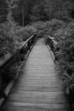 walkway