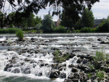 Snake River in Idaho Falls, Id.2  PW.JPG