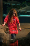 Discovery Bay