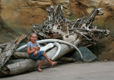 Russias Grizzly Coast