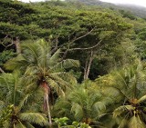 Isla Margarita