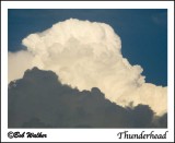 Thunderhead