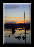 Sunset At The Montezuma National Wildlife Refuge & Wetland Complex