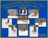 Sled Dog Race Collage And Sampling Of What One Can See Attending This Unique Sporting Event