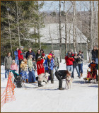 The Kid & Mutt Race